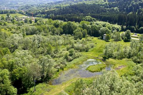 Crédits photo : Didier Jungers